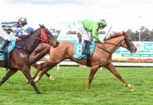 Second win for ‘Hurricane’