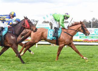 Second win for ‘Hurricane’