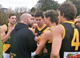 Tigers looking for new coach