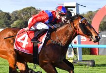 Welcome change of luck