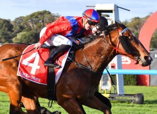 Welcome change of luck