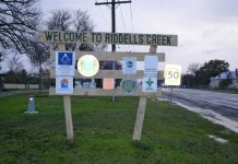 Riddell study gets moving