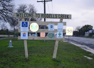 Riddell study gets moving