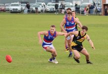 Tigers stun Gisborne
