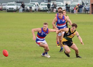 Tigers stun Gisborne
