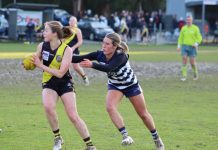 Tigers battle Cats and mud