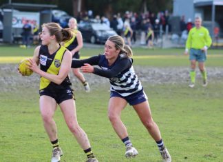 Tigers battle Cats and mud