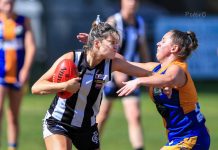 Magpies celebrate milestones