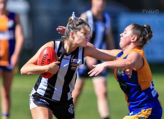 Magpies celebrate milestones