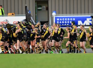 Kyneton Tigers are premiers