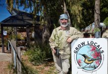 Local, beneficial and functional