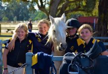 Pony club open day