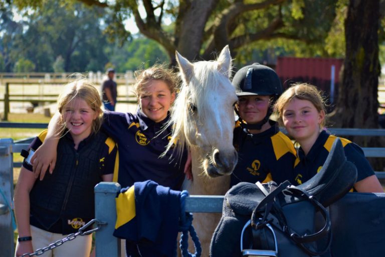 Pony club open day