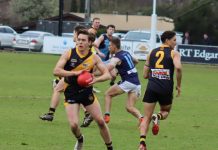 Tough going for Tigers, Bulldogs