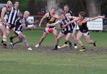 Pies and Tigers pay tribute