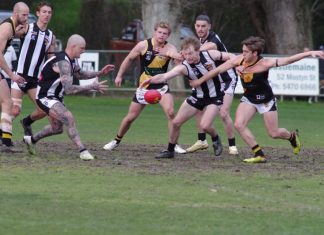 Pies and Tigers pay tribute
