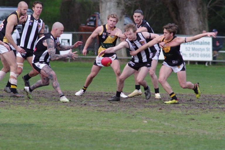 Pies and Tigers pay tribute
