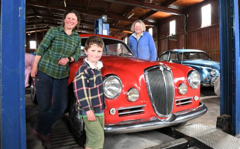 Classics go under the hammer