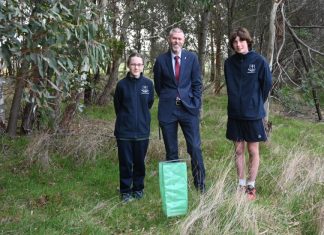 Braemar plants for a purpose