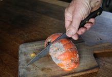 The Compost Conversation – with Joel Meadows