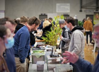 Be enthralled by creepy crawlies