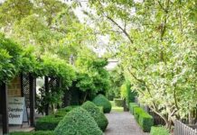 Immerse yourself in garden wonders