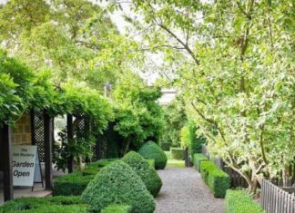 Immerse yourself in garden wonders
