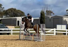 Showjumping success