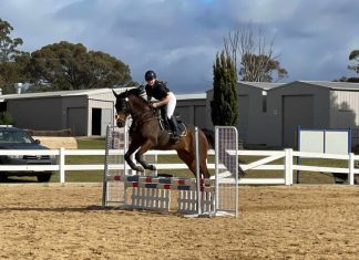 Showjumping success