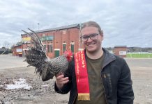 Find a feathered friend