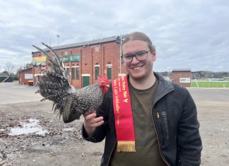 Find a feathered friend