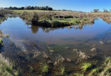 Boosting biodiversity