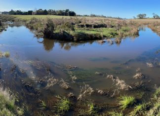 Boosting biodiversity