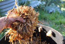 The Compost Conversation – with Joel Meadows