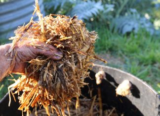 The Compost Conversation – with Joel Meadows