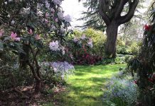 Flint Hill to support Woodend Fire Brigade