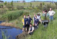 River revegetation boost