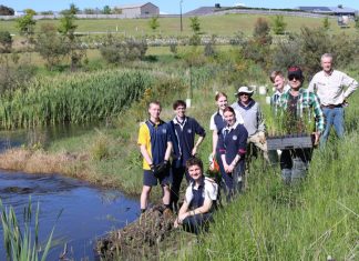 River revegetation boost