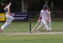 Dominant displays in CDCA