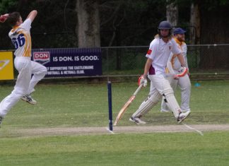 Dominant displays in CDCA