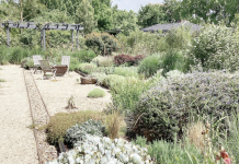 Climate friendly gardens