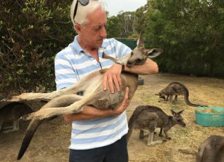 Professional roo shooter responds to cruelty claims