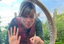 The Compost Conversation – an homage to the bacteria