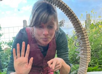 The Compost Conversation – an homage to the bacteria