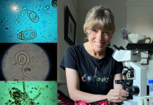 The Compost Conversation – Nutrient cycling: everyone’s doing it!