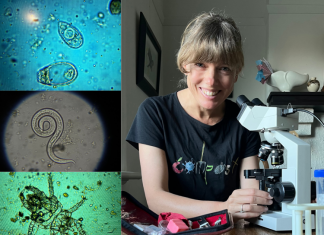 The Compost Conversation – Nutrient cycling: everyone’s doing it!