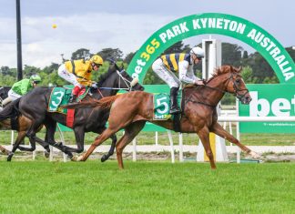 Kyneton Cup to Harmysian