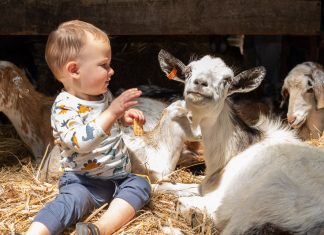 Show smashes records