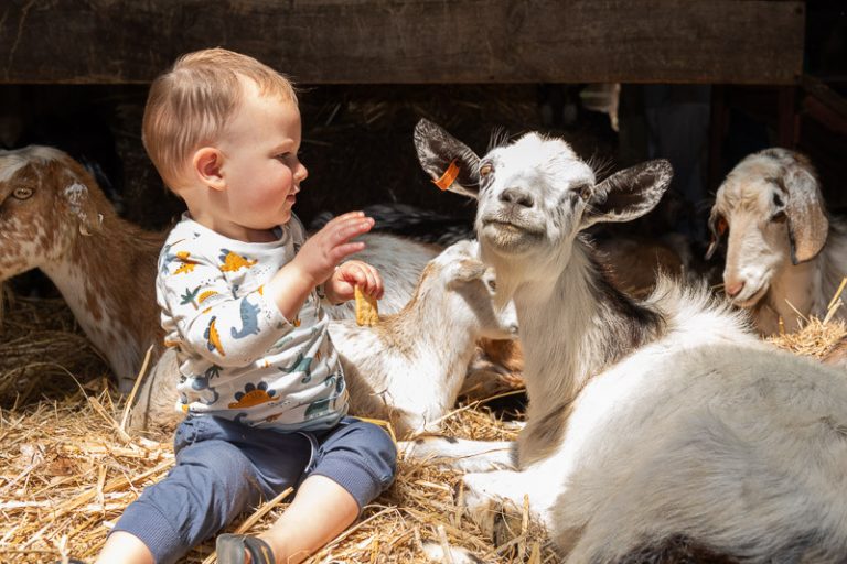 Show smashes records