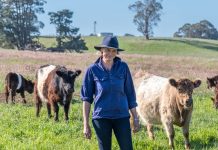 It’s Kyneton Show time again!